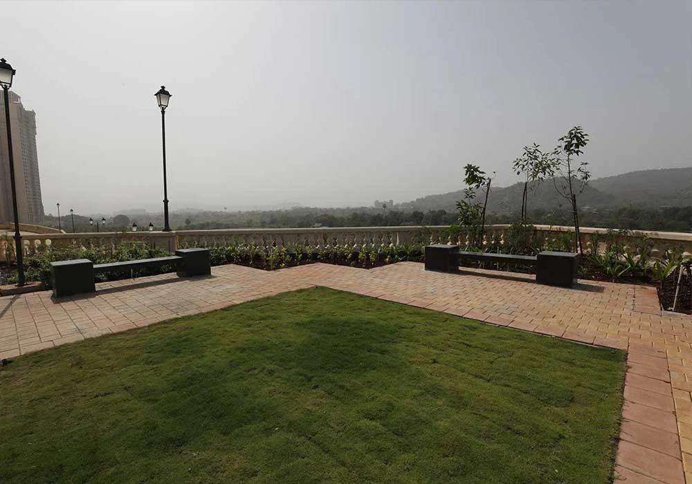 Lawn